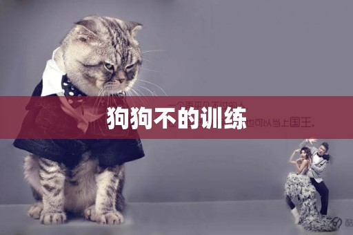 狗狗不的訓練