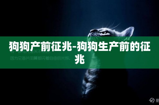 狗狗產前征兆-狗狗生產前的征兆