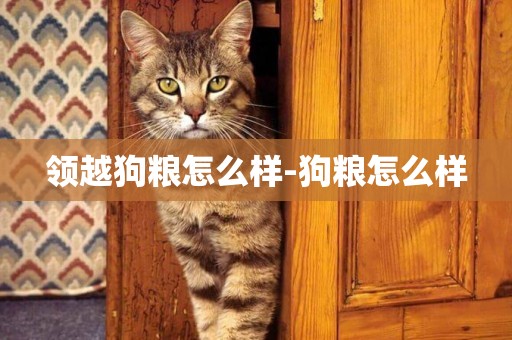 領越狗糧怎么樣-狗糧怎么樣