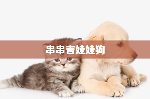 串串吉娃娃狗