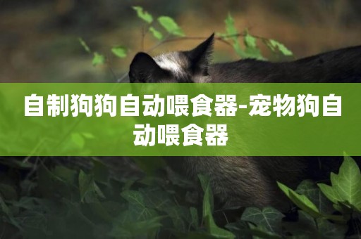自制狗狗自動喂食器-寵物狗自動喂食器