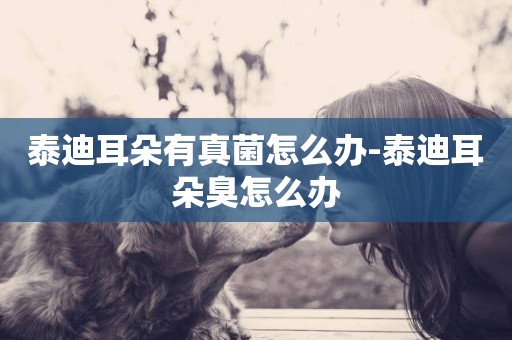 泰迪耳朵有真菌怎么辦-泰迪耳朵臭怎么辦