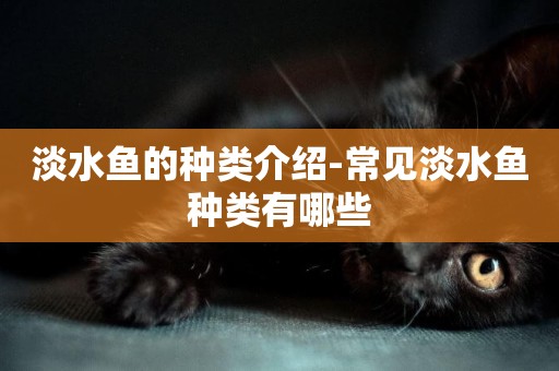 淡水魚的種類介紹-常見淡水魚種類有哪些