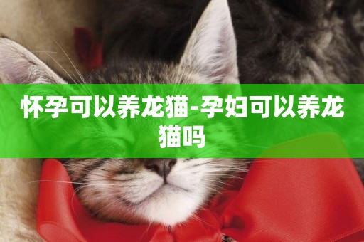 懷孕可以養龍貓-孕婦可以養龍貓嗎