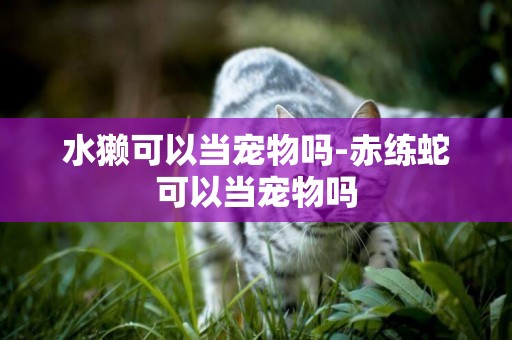 水獺可以當寵物嗎-赤練蛇可以當寵物嗎