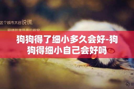 狗狗得了細小多久會好-狗狗得細小自己會好嗎
