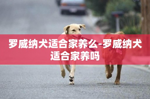 羅威納犬適合家養么-羅威納犬適合家養嗎