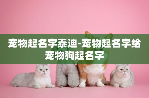 寵物起名字泰迪-寵物起名字給寵物狗起名字