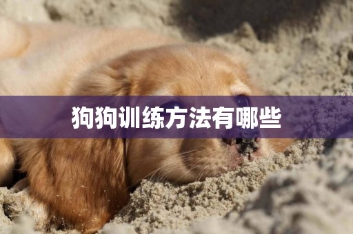 狗狗訓練方法有哪些