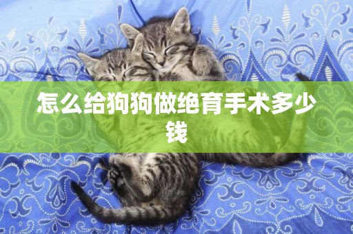 怎么給狗狗做絕育手術多少錢