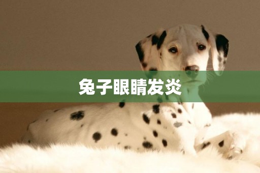 兔子眼睛發炎