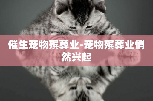 催生寵物殯葬業-寵物殯葬業悄然興起