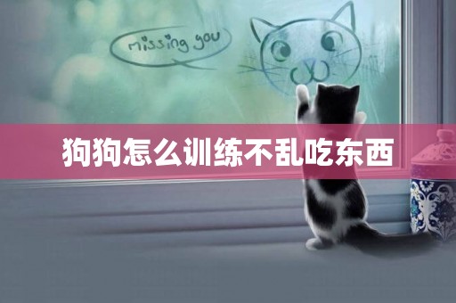 狗狗怎么訓練不亂吃東西