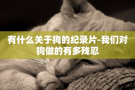 有什么關于狗的紀錄片-我們對狗做的有多殘忍