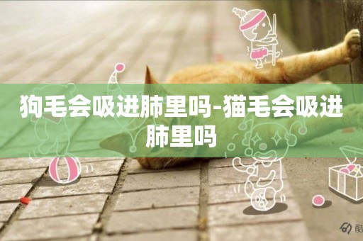 狗毛會吸進肺里嗎-貓毛會吸進肺里嗎