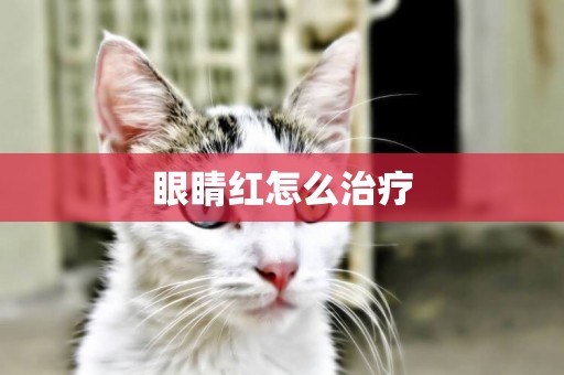 眼睛紅怎么治療