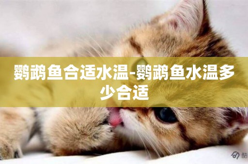 鸚鵡魚合適水溫-鸚鵡魚水溫多少合適