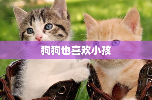 狗狗也喜歡小孩