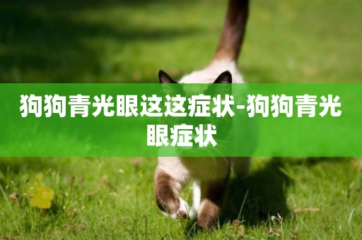 狗狗青光眼這這癥狀-狗狗青光眼癥狀