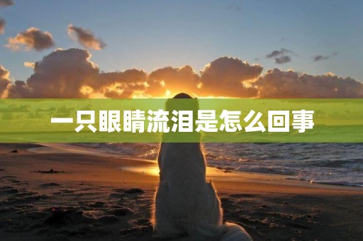 一只眼睛流淚是怎么回事