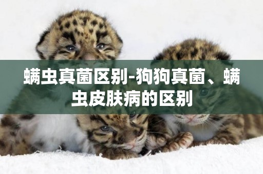 螨蟲真菌區別-狗狗真菌、螨蟲皮膚病的區別