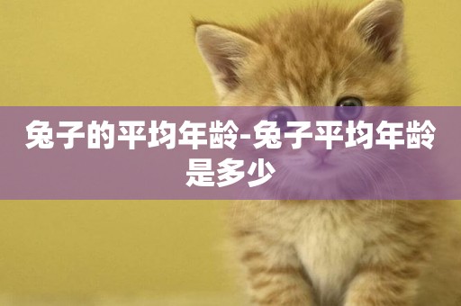 兔子的平均年齡-兔子平均年齡是多少