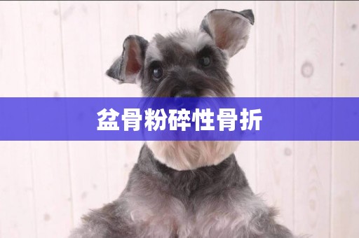盆骨粉碎性骨折