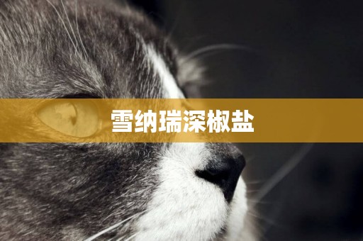 雪納瑞深椒鹽