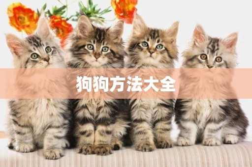 狗狗方法大全