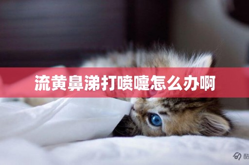 流黃鼻涕打噴嚏怎么辦啊