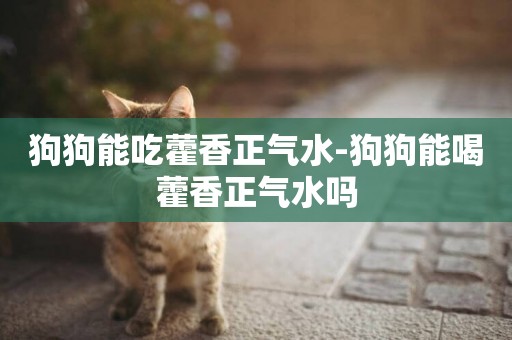 狗狗能吃藿香正氣水-狗狗能喝藿香正氣水嗎