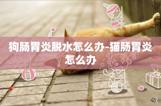 狗腸胃炎脫水怎么辦-貓腸胃炎怎么辦