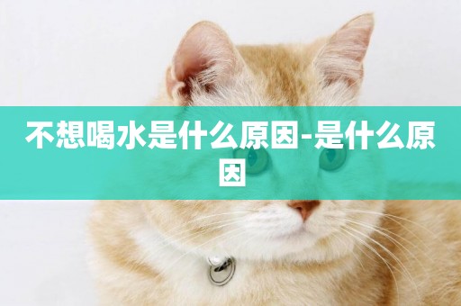 不想喝水是什么原因-是什么原因