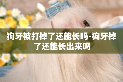 狗牙被打掉了還能長嗎-狗牙掉了還能長出來嗎