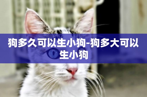 狗多久可以生小狗-狗多大可以生小狗