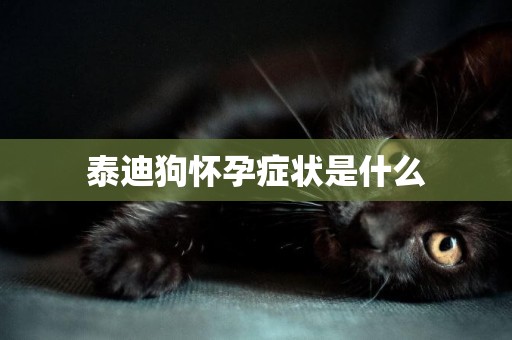 泰迪狗懷孕癥狀是什么