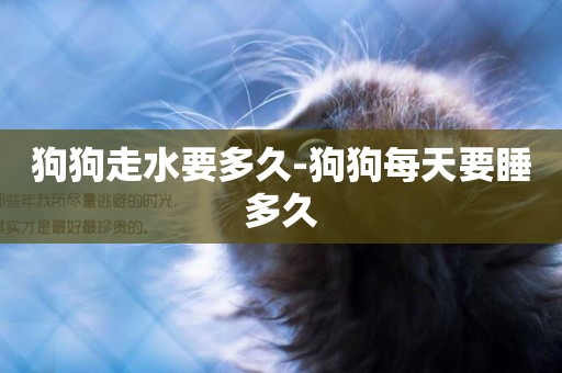 狗狗走水要多久-狗狗每天要睡多久