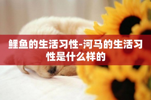 鯉魚的生活習性-河馬的生活習性是什么樣的