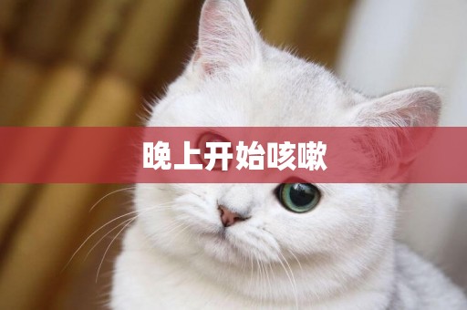 晚上開始咳嗽