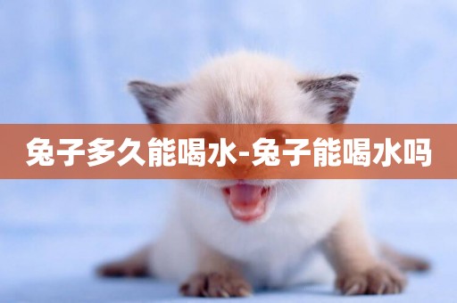 兔子多久能喝水-兔子能喝水嗎