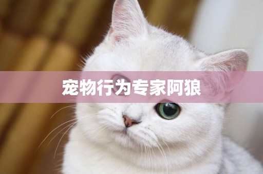 寵物行為專家阿狼