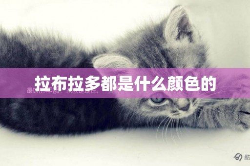 拉布拉多都是什么顏色的