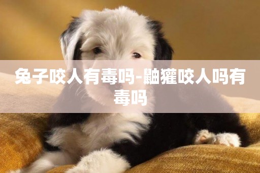 兔子咬人有毒嗎-鼬獾咬人嗎有毒嗎