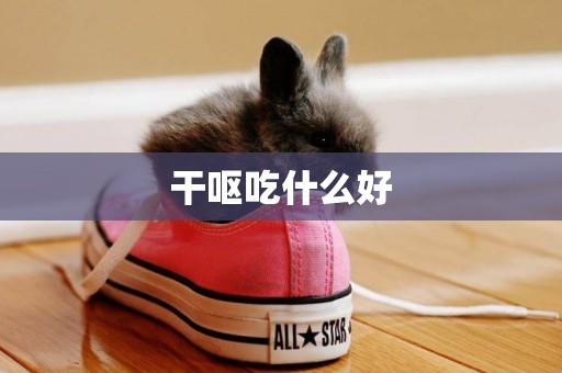 干嘔吃什么好