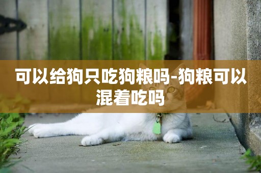 可以給狗只吃狗糧嗎-狗糧可以混著吃嗎