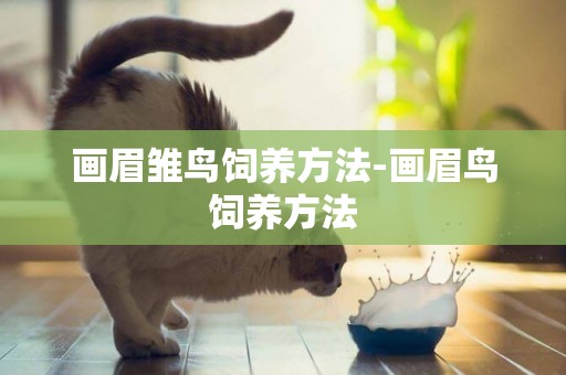畫眉雛鳥飼養方法-畫眉鳥飼養方法