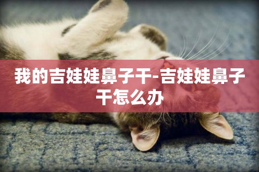 我的吉娃娃鼻子干-吉娃娃鼻子干怎么辦