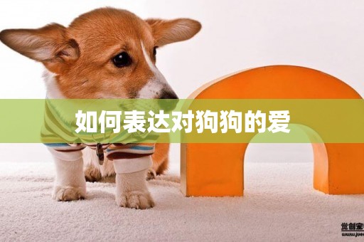 如何表達對狗狗的愛