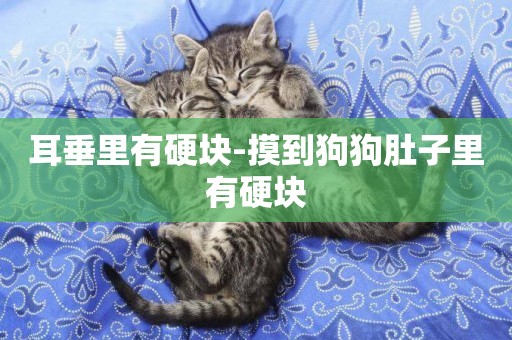 耳垂里有硬塊-摸到狗狗肚子里有硬塊
