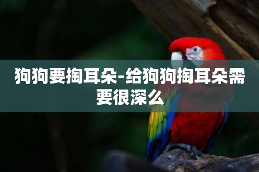 狗狗要掏耳朵-給狗狗掏耳朵需要很深么